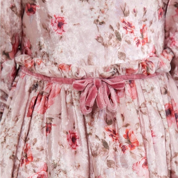 Abel & Lula Girls Floral Velvet Dress, Size 7 - Picture 3 of 9